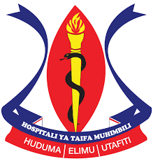 Muhimbili national hospital